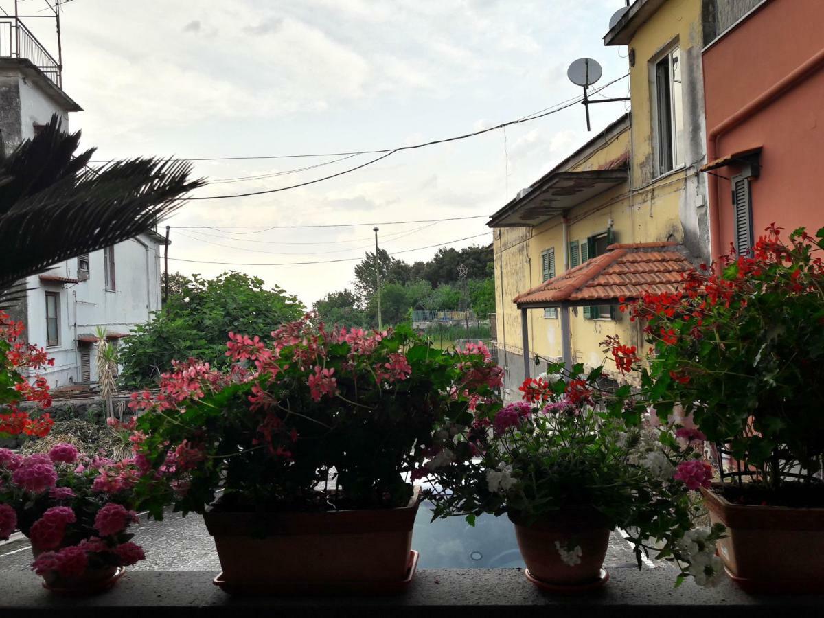 La Caldera Del Vesuvio Bed & Breakfast Ercolano Luaran gambar